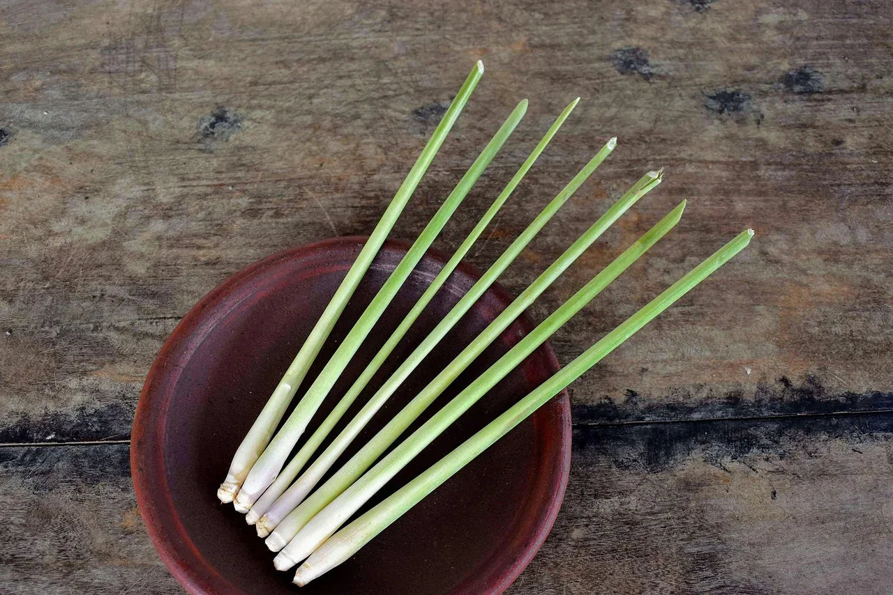 lemongrass-6943711_1280 - Naturheiltee