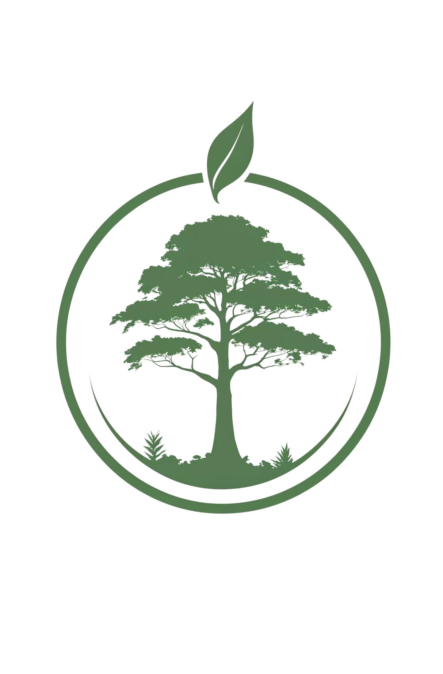 1 m² Regenwald schützen – Deine Schutzbeteiligung für die Zukunft - Naturheiltee