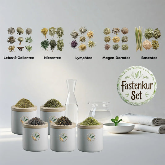 Bio Fastenkur Set - Naturheiltee