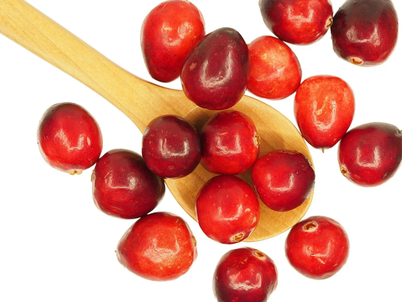 cranberry - Naturheiltee