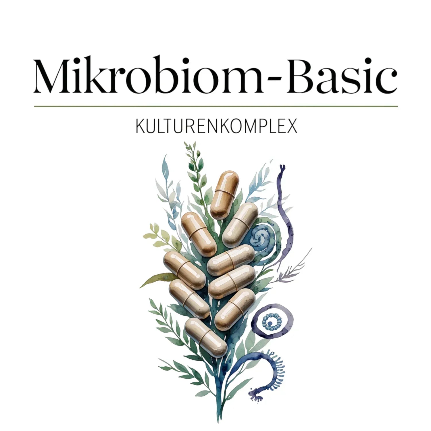web_probiotisch - Naturheiltee